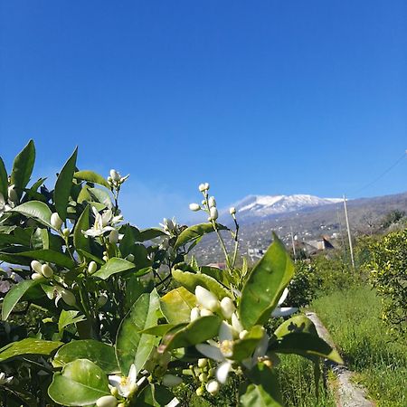 マスカリ Zagaraヴィラ エクステリア 写真